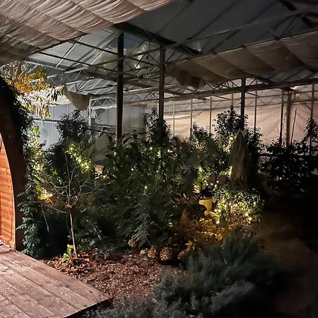 Very Unique 'tiny House' With Hottub Rijsenhout